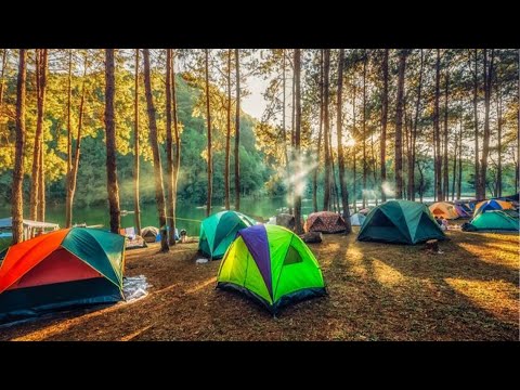 En Ayrıntılı Bolu Yedigöller Kamp Videosu