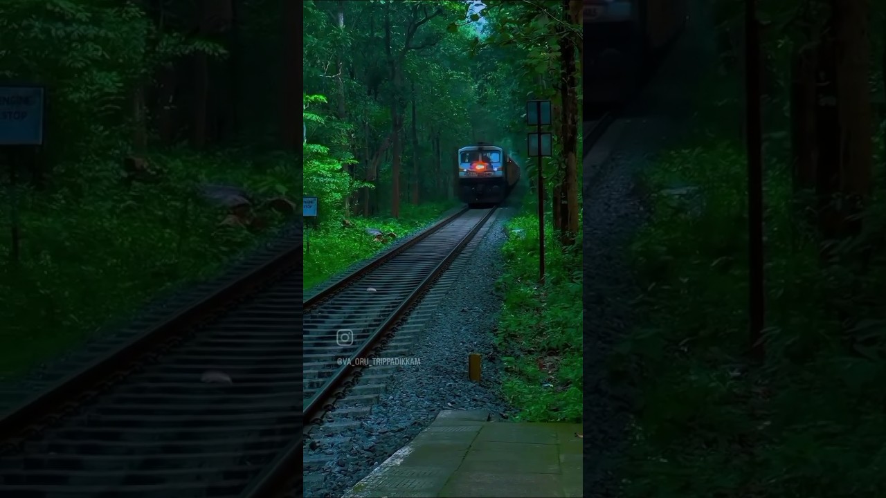 Beauty of kerala India 🇮🇳 ! Indian railways! 