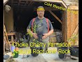 Maine Choke Cherry Yamadori: Root over Icelandic Rock