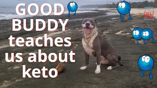 What can our Pets Teach us about KETO?  Meet GOOD BUDDY