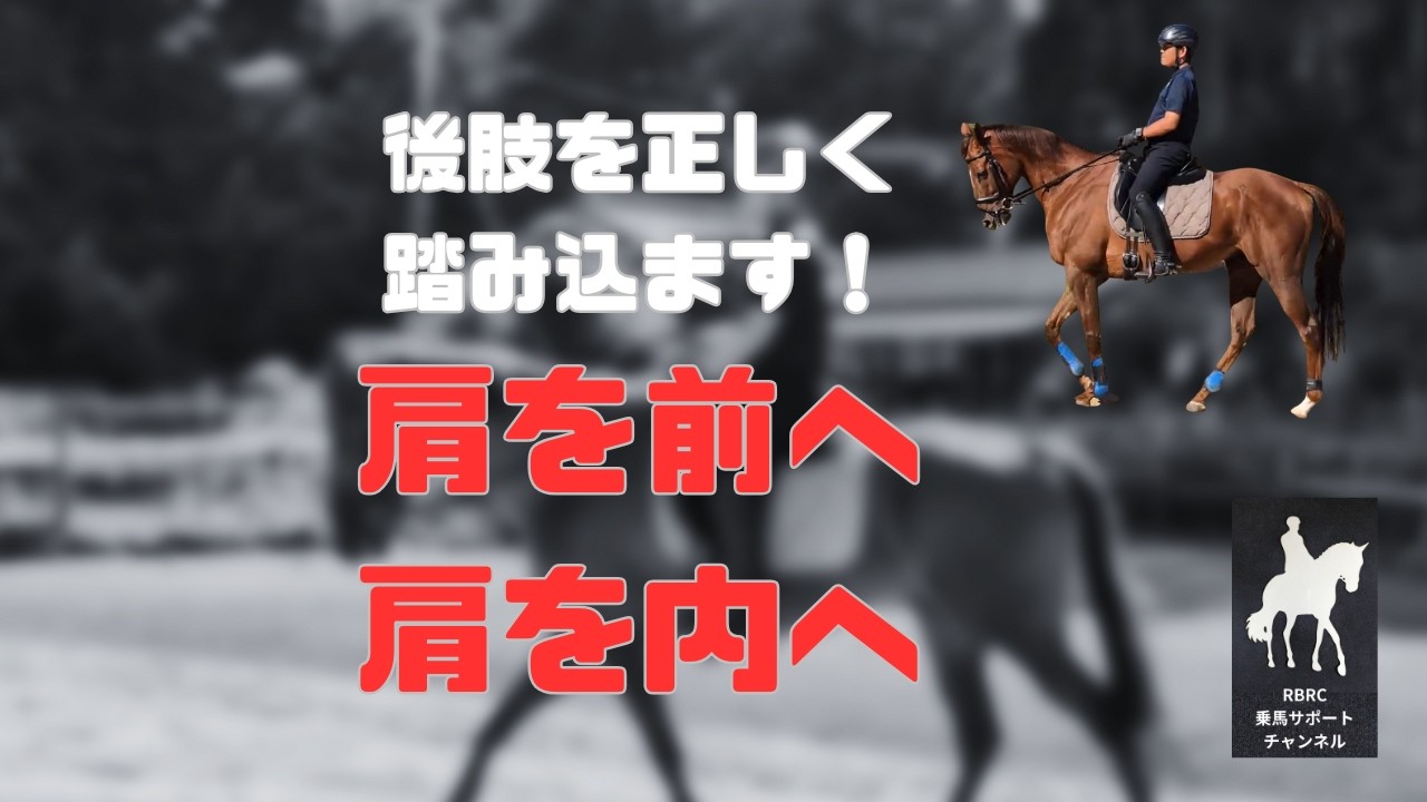 【乗馬・馬術】内方後肢を踏み込ませる。馬体にベンドやセルフキャリッジを正しく求める為に！