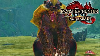 Our First Anomaly Quest! Arzuros HITS SO HARD | Lets Play Monster Hunter Rise Sunbreak