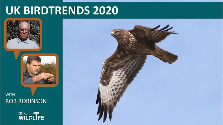 UK BirdTrends 2020