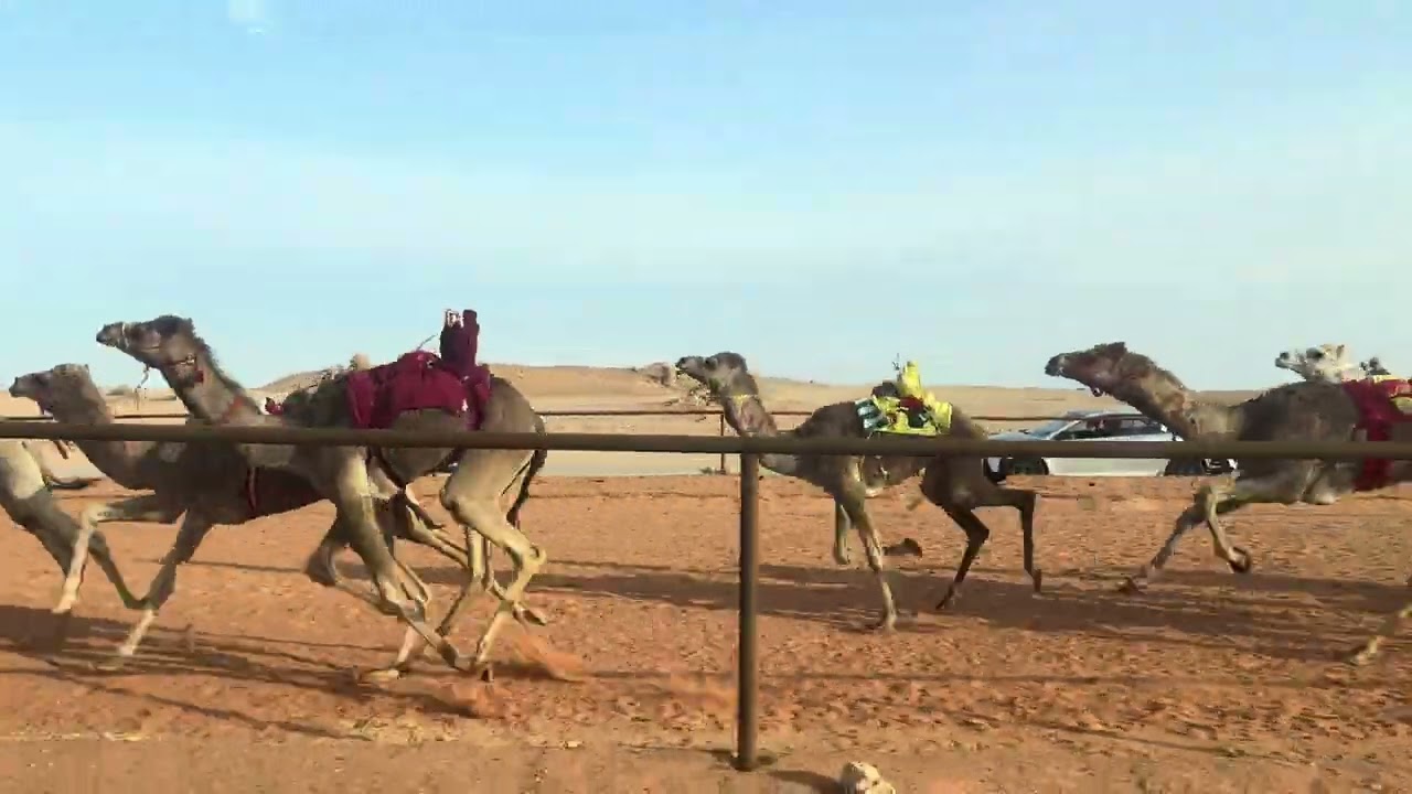 غاره/ عبدالكريم جليل العنزي