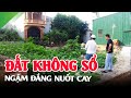 Mua Đất Không Sổ Đỏ, Ngậm Đắng Nuôt Cay - Ping Land