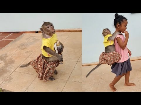 Waiting Time Shally To Mommy