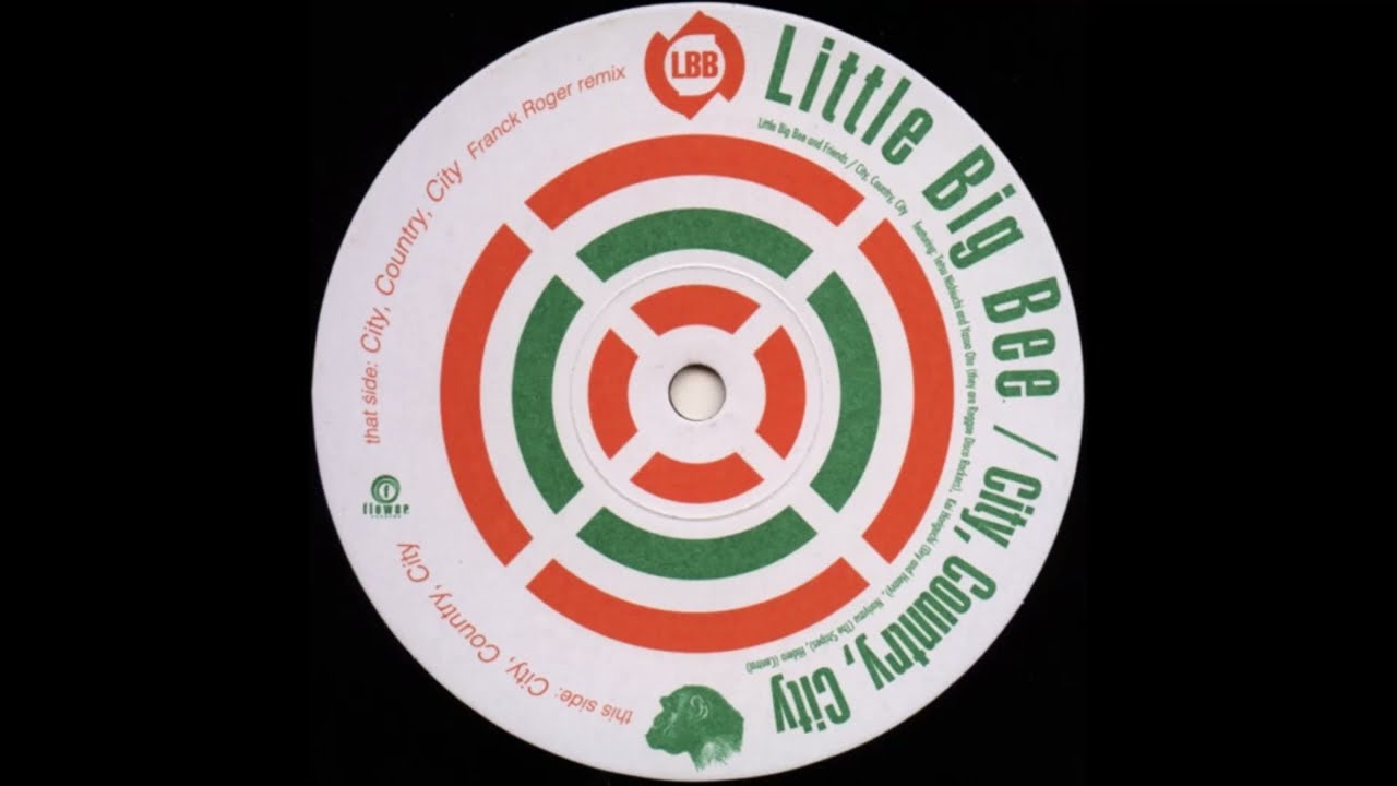 Little Big Bee - City, Country, City (Franck Roger remix) - YouTube