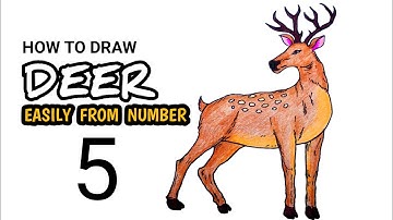 How to draw a Deer easy || Deer drawing easily from number 5