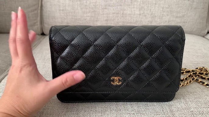 What fits inside a Chanel Wallet on Chain WOC 2016 