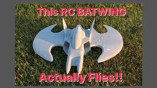 Batwing V2! flew great, almost done.