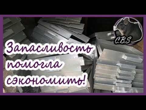 Я ДЕЛАЮ КЛЕТКИ