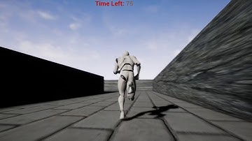 The Maze Runner Robot