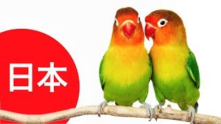 The BEST Cafe in Japan (NOT What You Think)