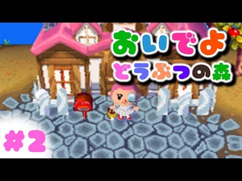 おいでよどうぶつの森 02 放置村の花を増やそう 概要欄必読 Youtube おいでよどうぶつの森 02 放置村の花を増やそう 概要欄必読 Youtube