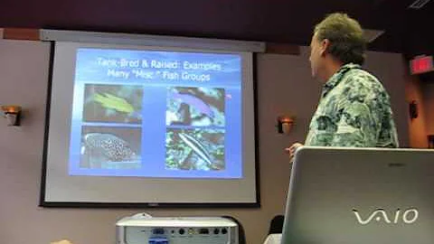 Bob Fenner "Collection to Retail: The Trade in Ornamental Aquatics" Part 1