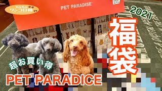 即日完売‼️大人気のペットパラダイスで犬服の福袋を購入&開封