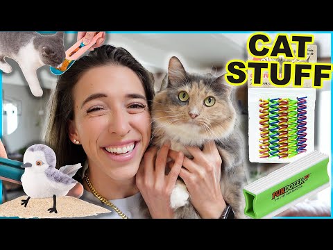 Testing Cat Products!