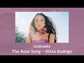 แปลเพลง The Rose Song - Olivia Rodrigo (Thaisub ความหมาย ซับไทย)