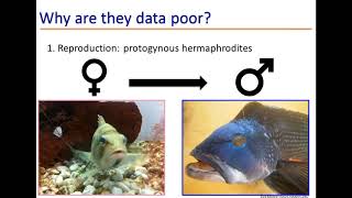 Site fidelity and growth of juvenile black sea bass (Centropristis striata)