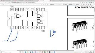 Micro Controllers Lab | EXP#2: Half Adder and Full Adder | ma'en alsoos