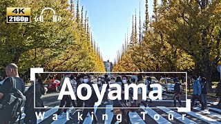 [4K/Binaural Audio] Aoyama Walking Tour through Ginkgo Avenue - Tokyo Japan