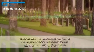 ‫لو ترى إذ وقفوا على النار آيات تزلزل القلوب د  ياسر الدوسري