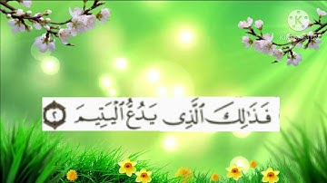 سورة الماعون القارئ الشيخ هاني