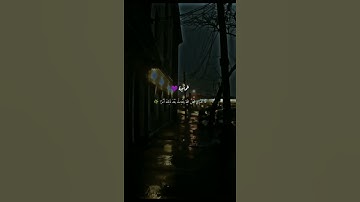 وقالوا لو لا انزل عليه آيات من ربه قل إنما الآيات عند الله || حالات واتس اب قران كريم 🌼💛