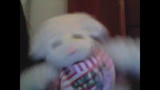 Capture 20110510
