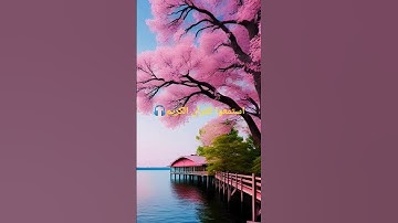 استمعوا للقرآن الكريم 🎧♥️#قران_كريم #راحة_نفسية