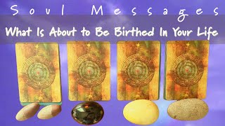 ☀️Pick a Card☀️What’s About to Birth Into Manifestation 💥