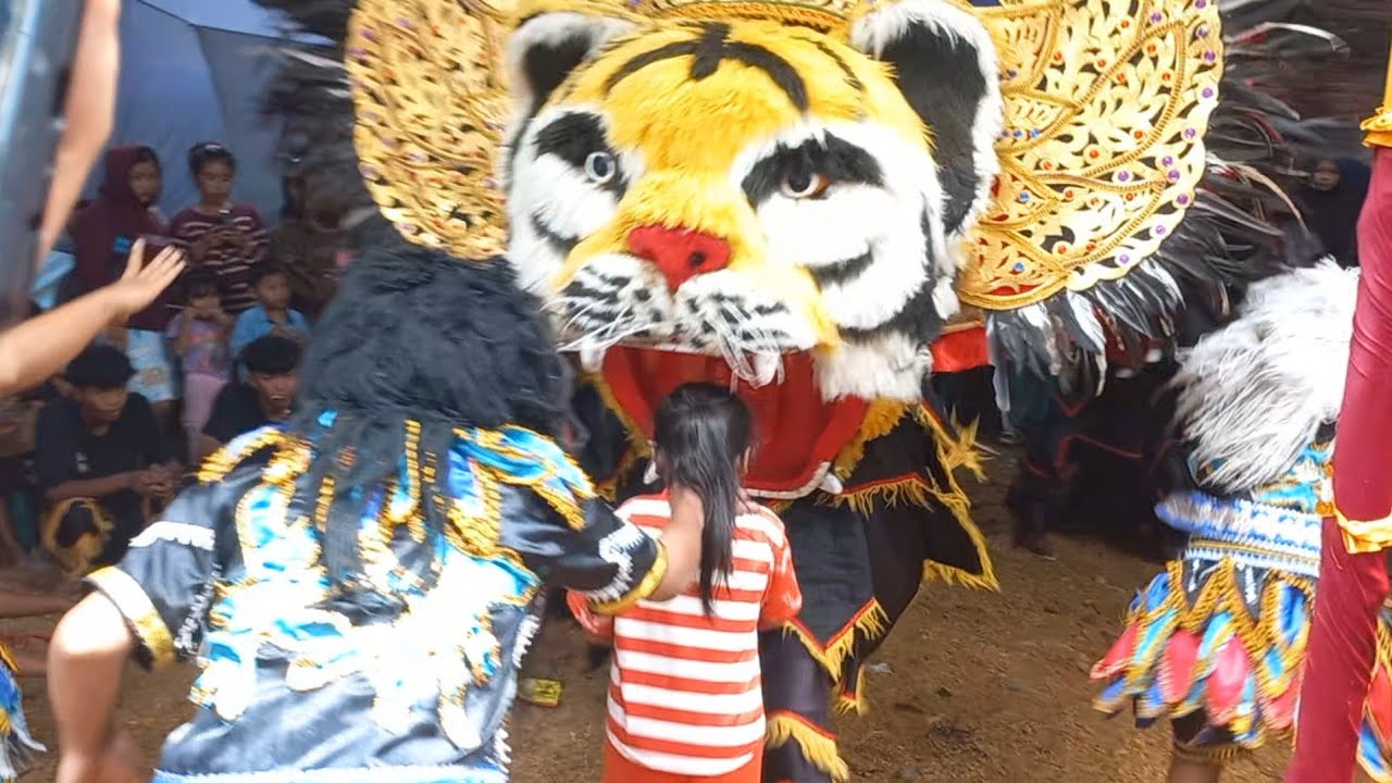 Bocil di Makan Barongan Dewa Dewi Di Kedunguter Demak