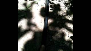 SG #59 Mr. Paka420 Share DIY Irrigation visit the Lanscape Shop