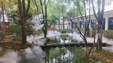 Creating the Perfect Resort Ambiance with Fog Systems | Nebufly Misting Systems