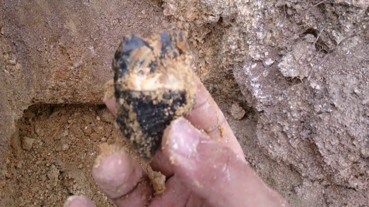 趣味探し大百科 鉱物 鉱石採集 趣味探し大百科