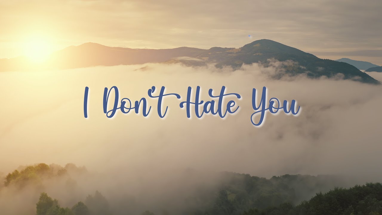 I Don’t Hate You - YouTube
