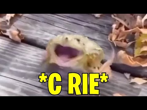 *C RIE*
