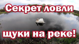 Секрет ловли щуки с берега. На что ловить щуку на малой реке. Ловля щуки весной. Рыбалка на спиннинг