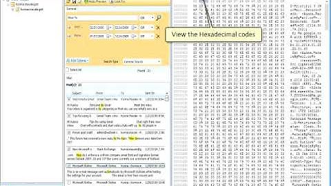 MailPro+  | All-in-One Email Converter