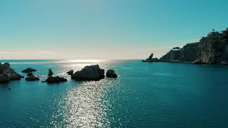 Nature Background No Copyright Video - Free Stock Footage | U-hara 8K Video screenshot 4