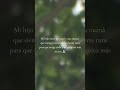 #viral #vidacotidiana #viralvideo #music