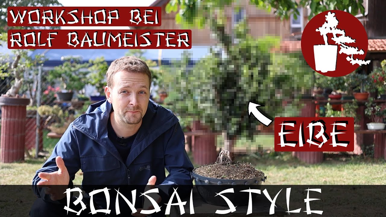 Workshop bei Rolf Baumeister | #073 Bonsai Style