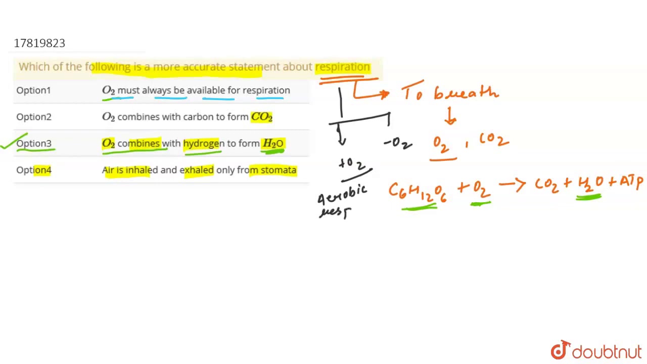 Which of the following is a more accurate statement about respiration