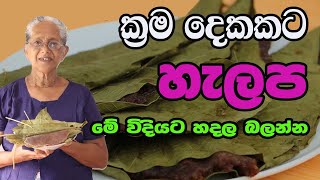 කුරක්කන් හැලප ක්‍රම දෙකකට Halapa in sinhala Aththamma