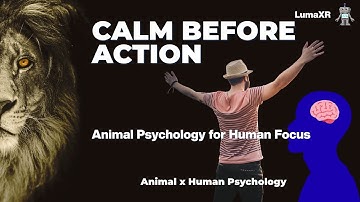 The Calm Before Action — Animal Psychology for Human Focus