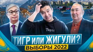 ПОЗОРНЫЕ ВЫБОРЫ: обзор всех кандидатов