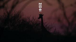 Buddynice  Bush Doctor original Mix