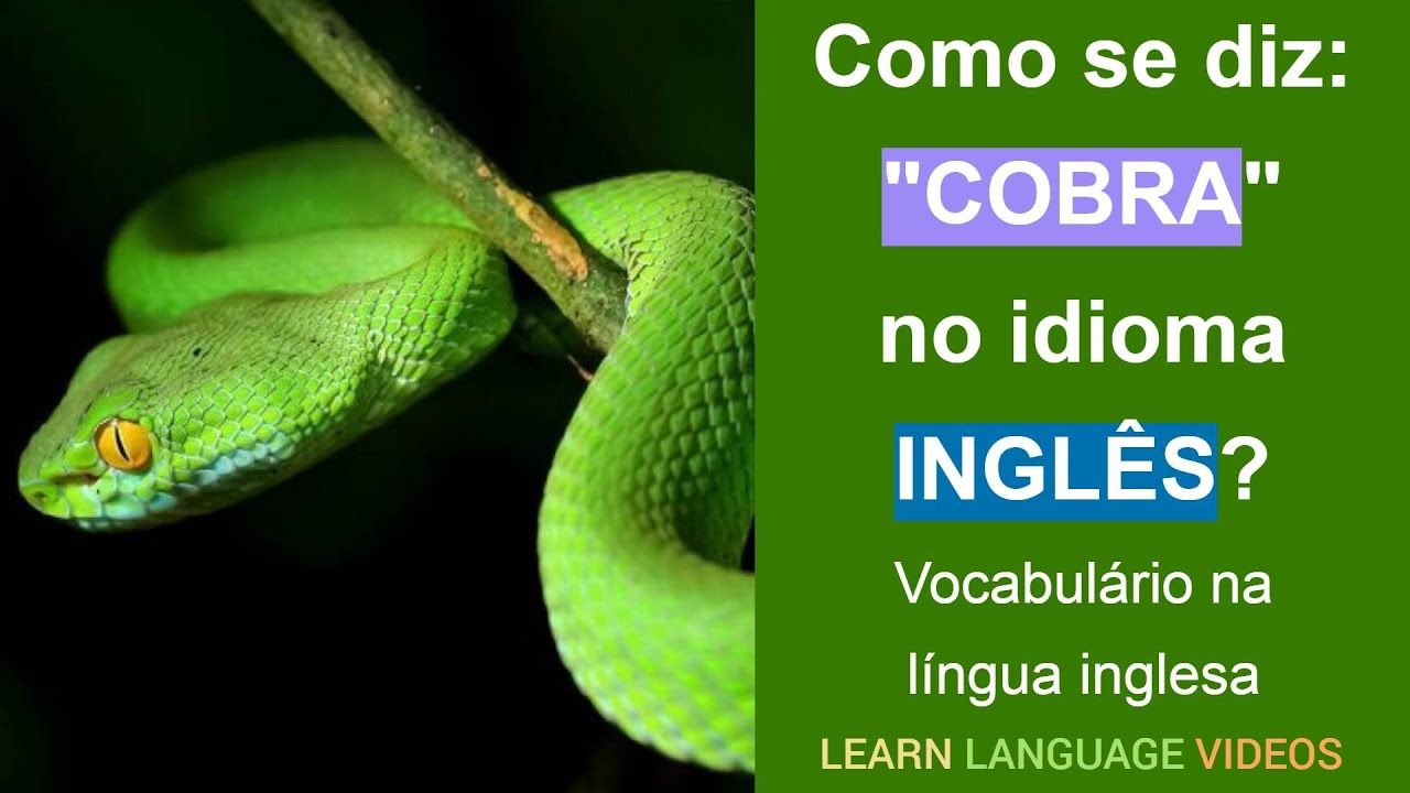 Como dizer: 