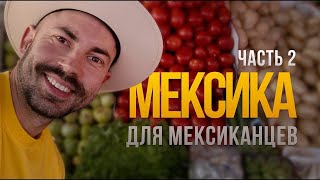 видео: Мексика. Часть 2. Разъяренные мексиканские женщины ENG ESP SUB картинка: Мексика. Часть 2. Разъяренные мексиканские женщины ENG ESP SUB