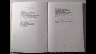 Roberto ROVERSI — Due poesie da &quot;L&#39;Italia sepolta sotto la neve&quot;